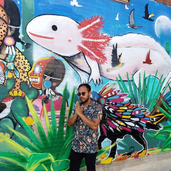 Meet your Posher, Rene - Picture 1 of 1